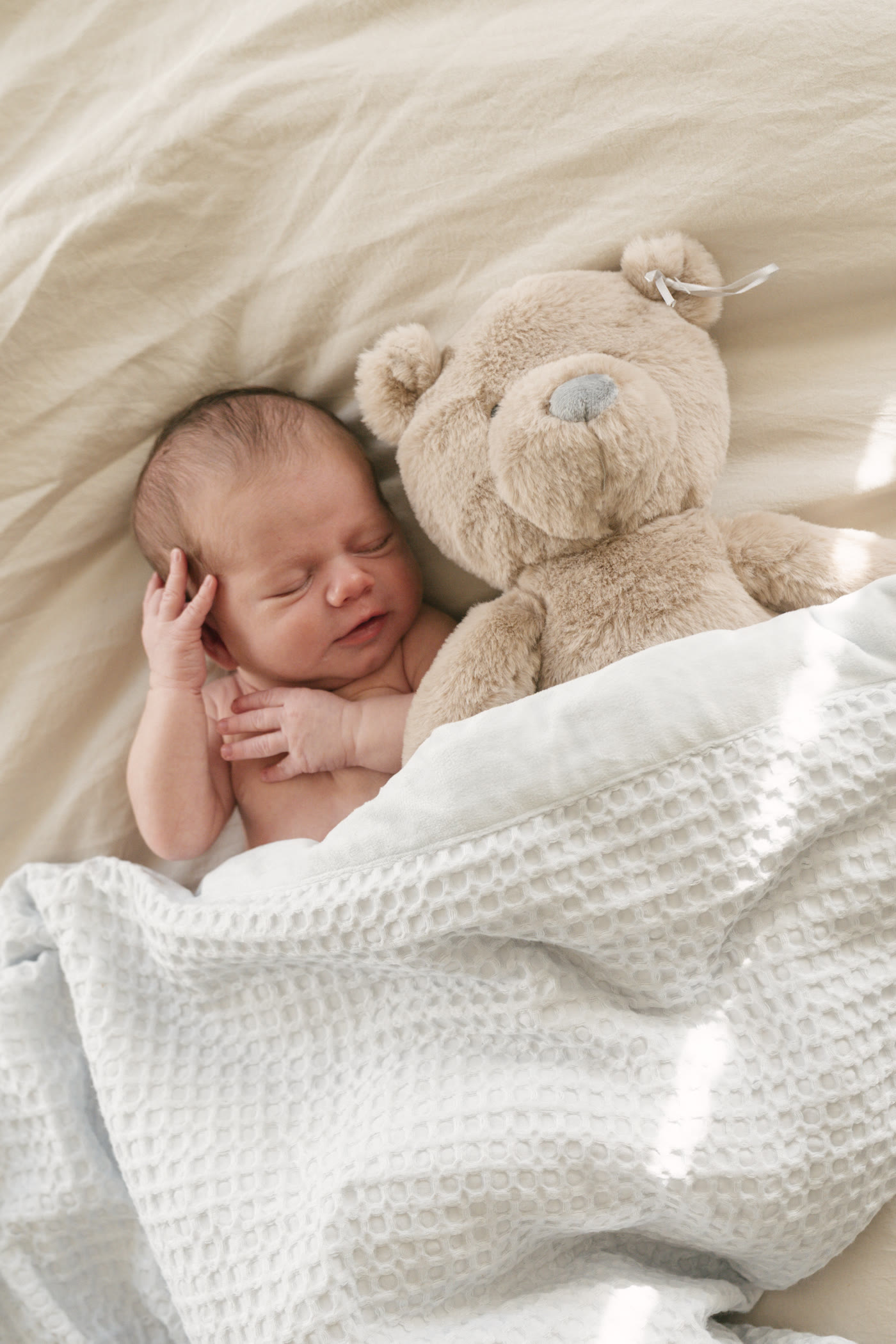Family, maternity and newborn photography in Marin and the Bay Area