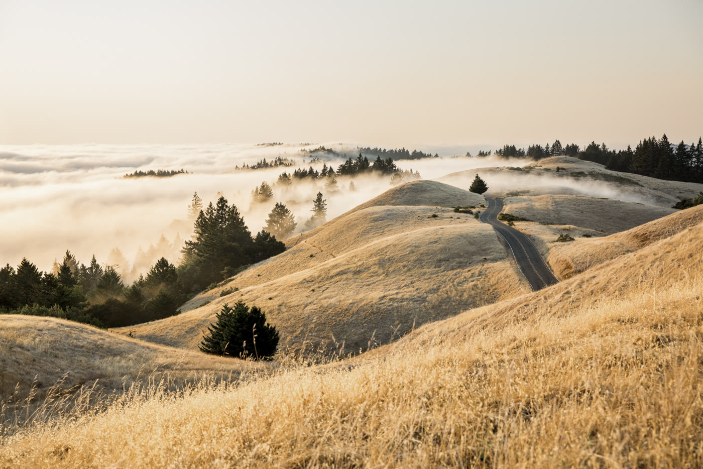 Bay Area landscape photography print