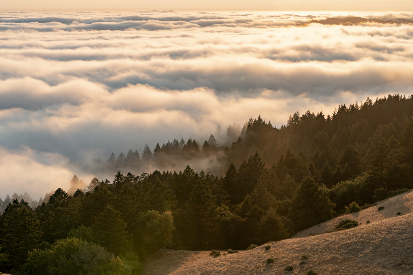 Bay Area fine-art landscape photography