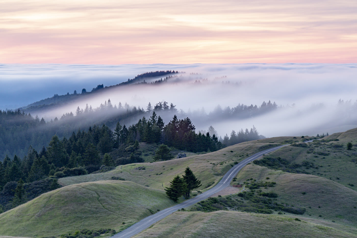 Bay Area coastal landscape print